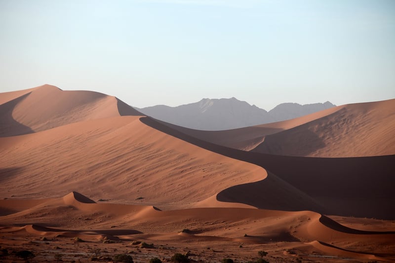 Desert Expedition